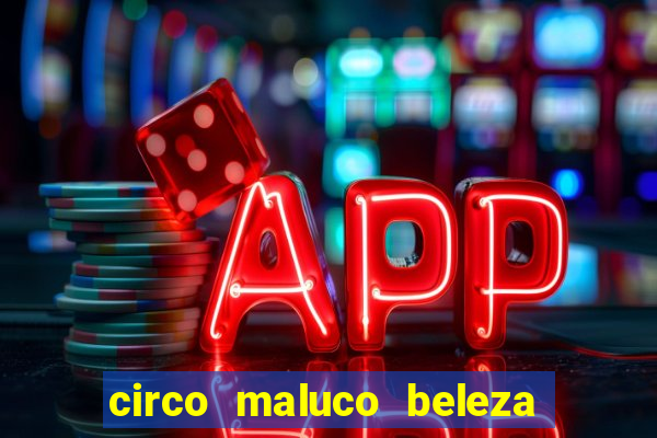 circo maluco beleza recife circo maluco